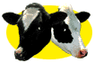 tucows